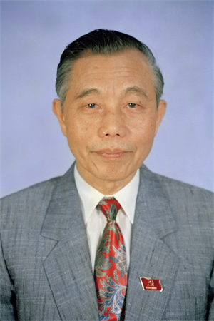 Phó Thủ tướng, Bộ trưởng Nguyễn Mạnh Cầm (từ 08/1991 đến 02/2000)